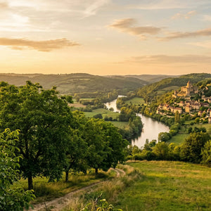 Warum das Périgord: Wo Genuss aus der Erde wächst